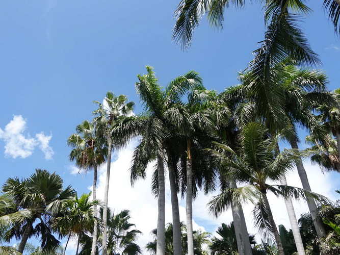 MIA_2023-08-12 11-47-48_RX_06016